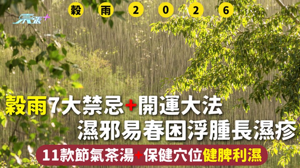 穀雨2026 | 7大禁忌+開運大法 濕邪易春困浮腫長濕疹 11款節氣茶湯+保健穴位健脾利濕