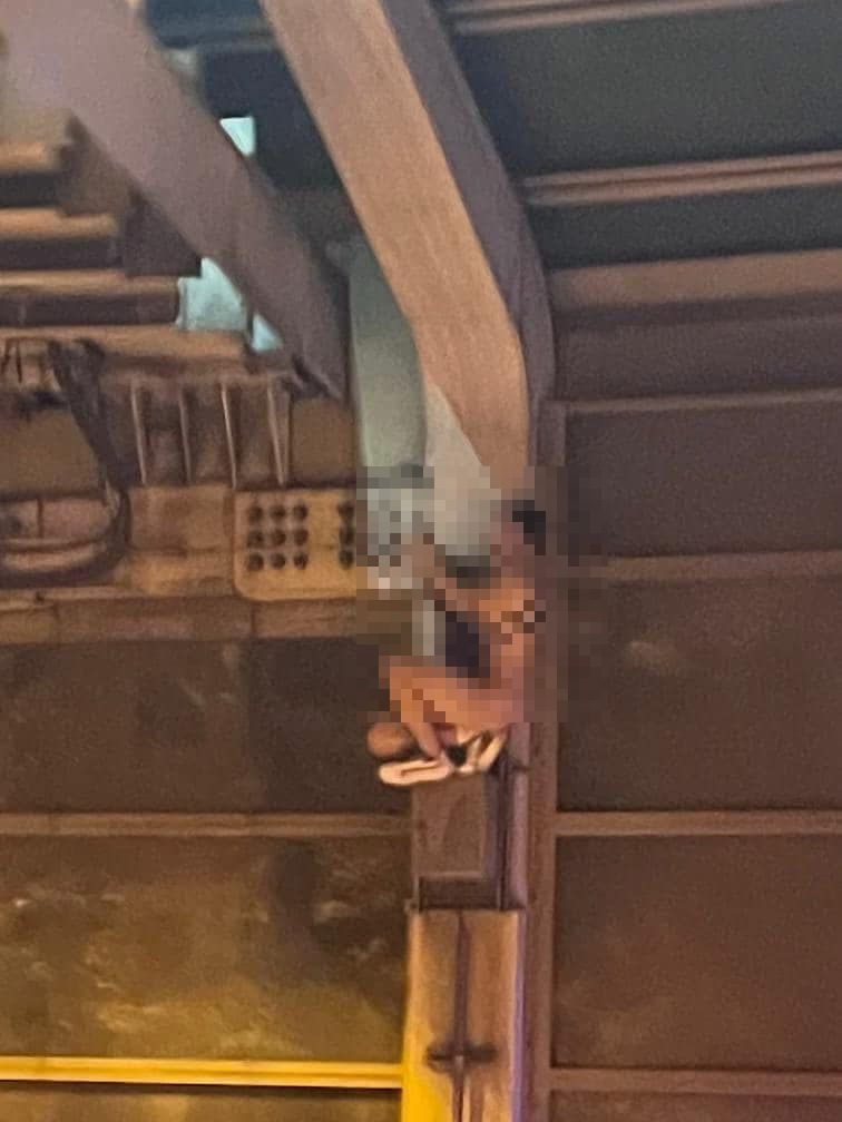 青沙公路男子赤裸「露鳥」爬上隔音屏