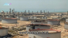 美國料沙特等產油國數周內增產 沙特指任何行動將由油組及盟友處理