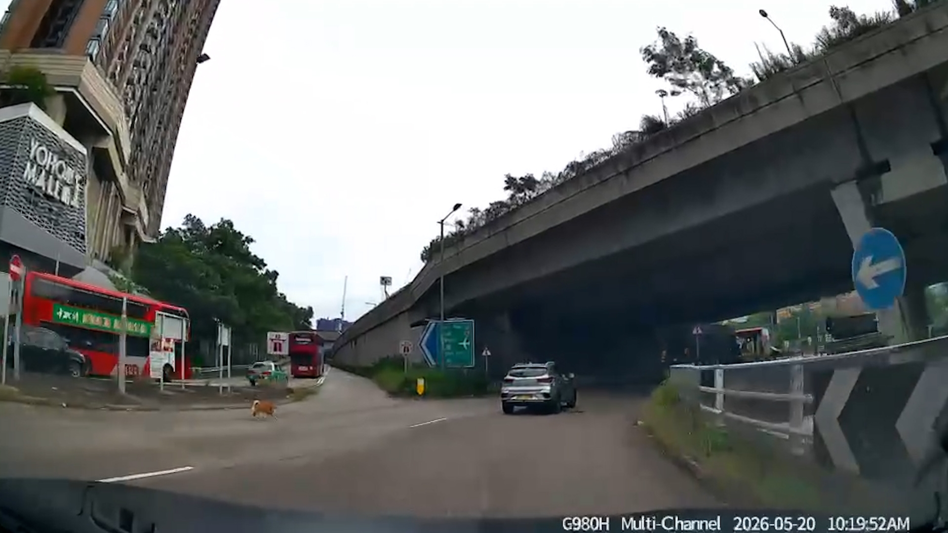 車Cam直擊｜好人好事！元朗柴犬誤闖迴旋處險被撞　司機落車徒手捉狗救命 （FB@車cam L（香港群組））