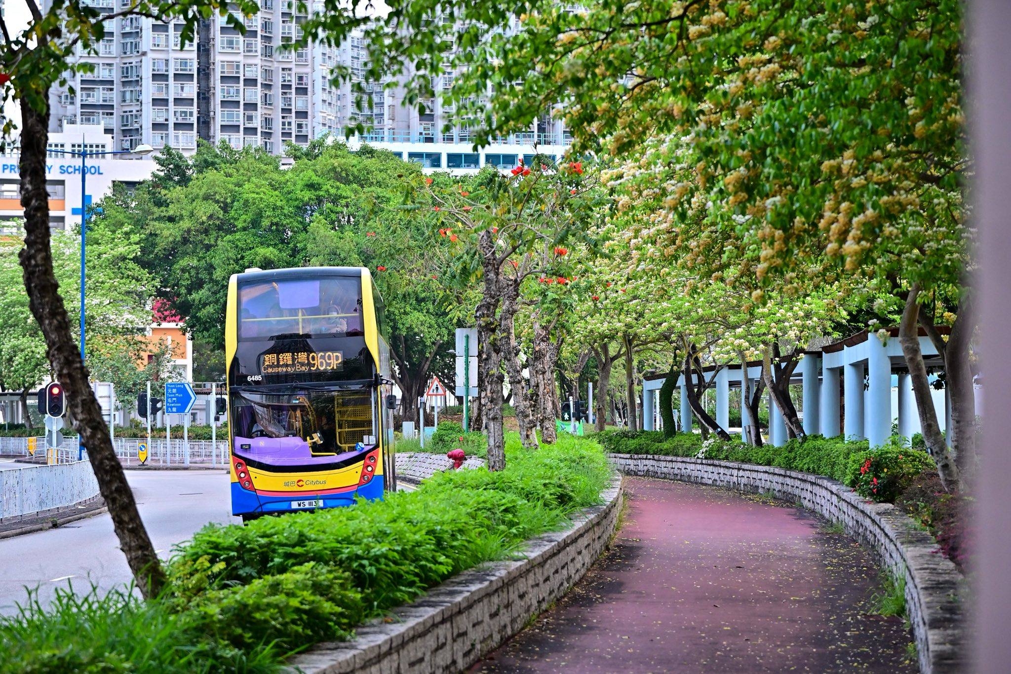 可能是有軌電車和街道的圖像