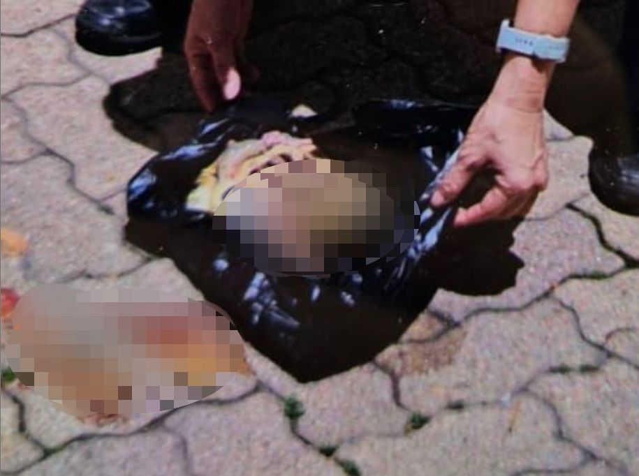 九龍灣麗晶花園再有同類案件