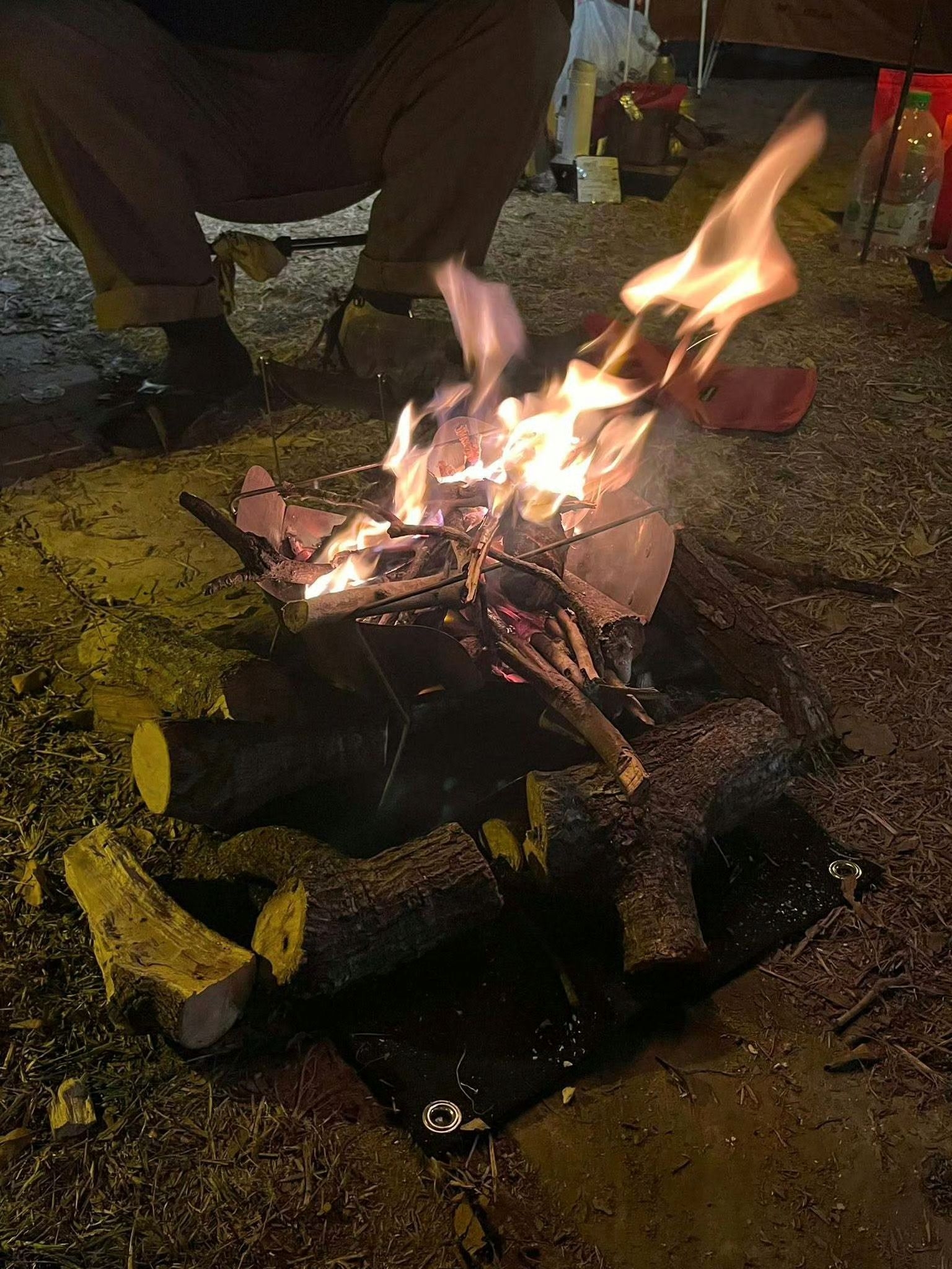 東張西望報料｜內地旅客露營疑伐木生火煮食　帶齊工具營地煮鮑魚 （微博圖片）