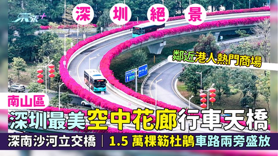 南山區｜深圳最美📸空中花廊行車天橋🚗深南沙河立交橋🚧｜1.5萬棵簕杜鵑🌺車路兩旁盛放