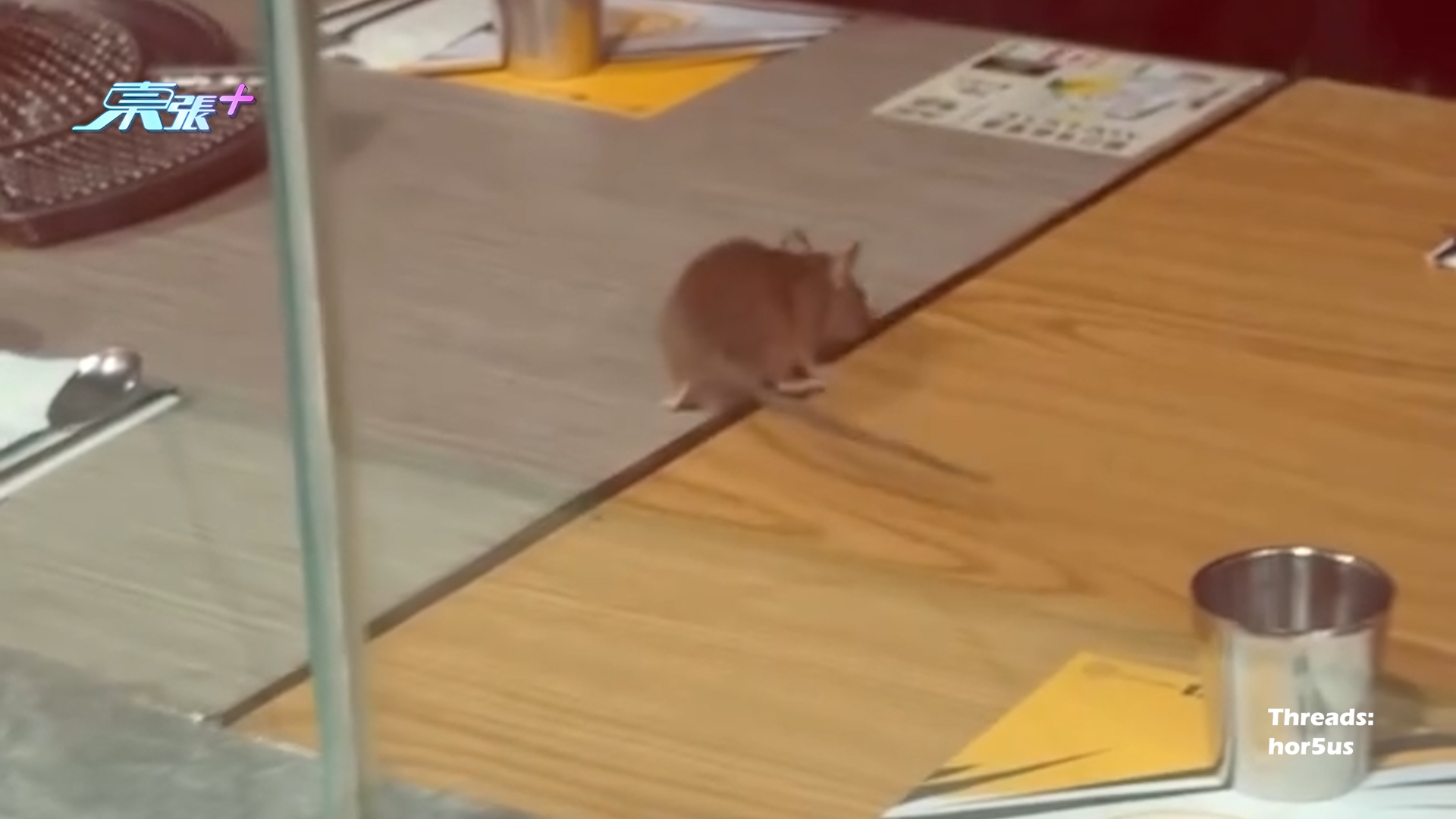 荃新天地韓燒餐廳老鼠出沒走上桌　爬來爬去勁恐怖嚇到片主爆曬粗