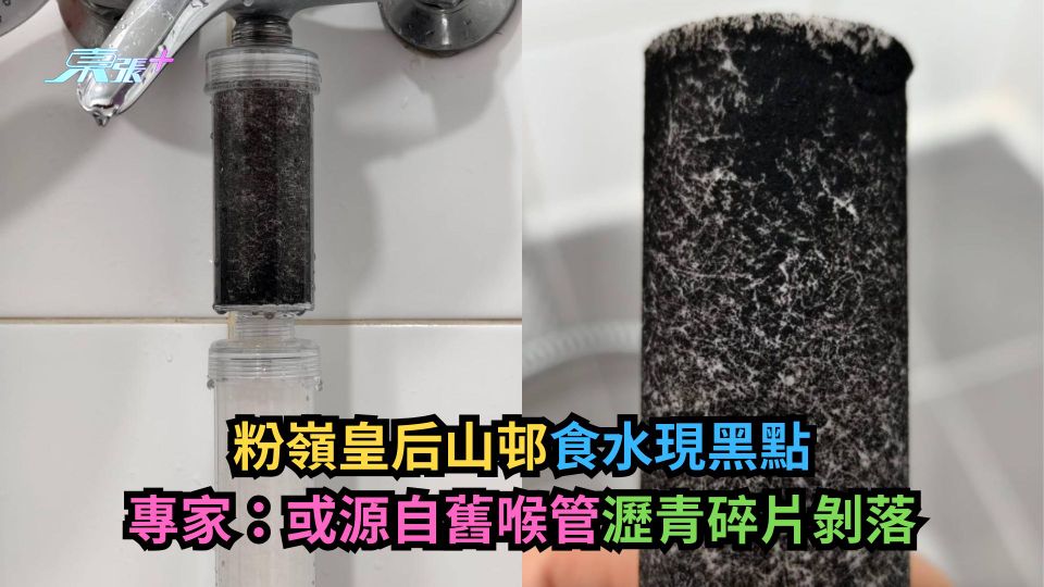 粉嶺皇后山邨食水現黑點　專家：或源自舊喉管瀝青碎片剝落