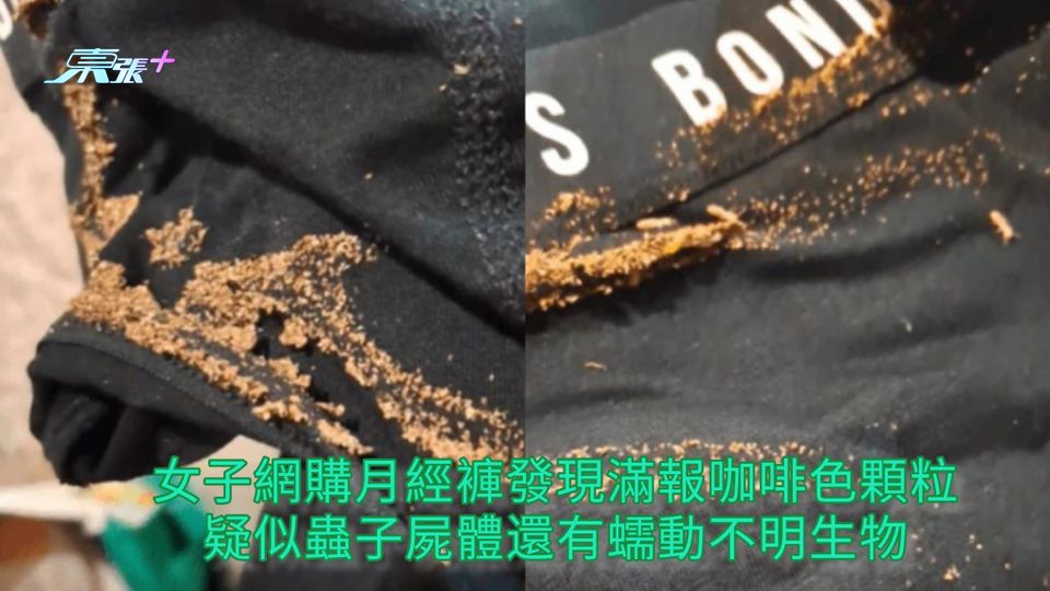 恐怖網購 | 女子網購月經褲發現滿報咖啡色顆粒 疑似蟲子屍體還有蠕動不明生物