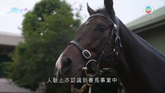 何澤堯冀夥拍「金鎗六十」報答馬迷