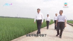 習近平考察四川眉山市 了解當地推進高標準農田建設等