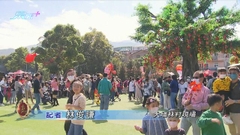 [現場]大埔林村許願樹滿載寶牒 市民冀生活盡快復常