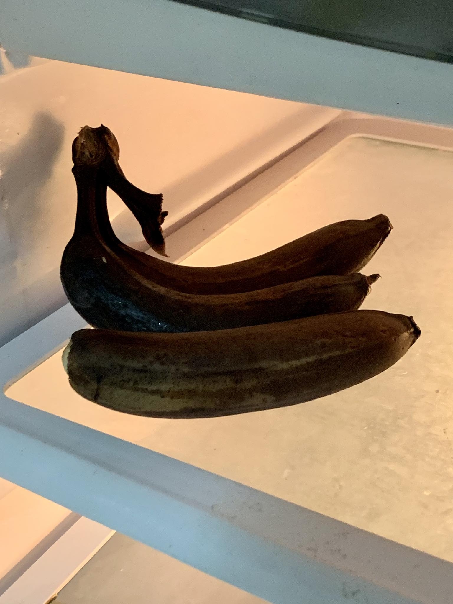 No photo description available.