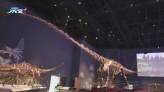 成都自然博物館藏大批稀有展品 參觀者以數碼科技與恐龍展品互動 