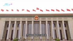 譚耀宗指人大常委最快下月底討論特首提請 湯家驊不認為釋法輸打贏要