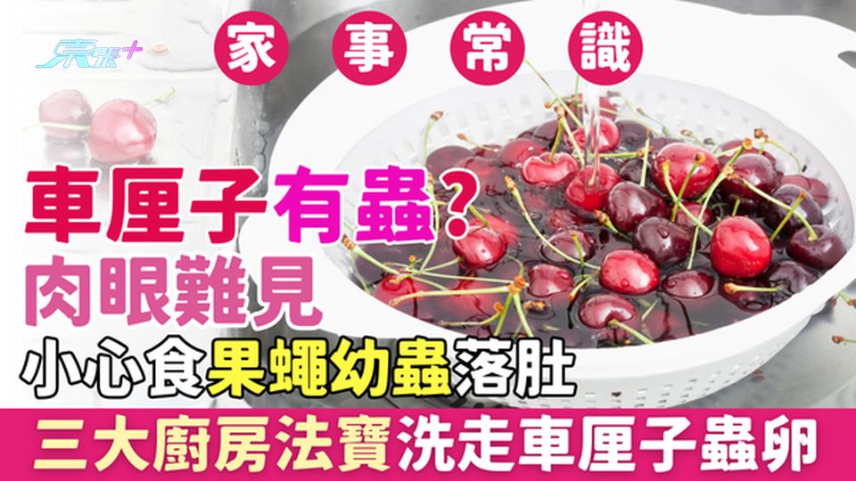 家事常識｜車厘子有蟲？肉眼難見小心食果蠅幼蟲落肚！三大廚房法寶洗走車厘子蟲卵