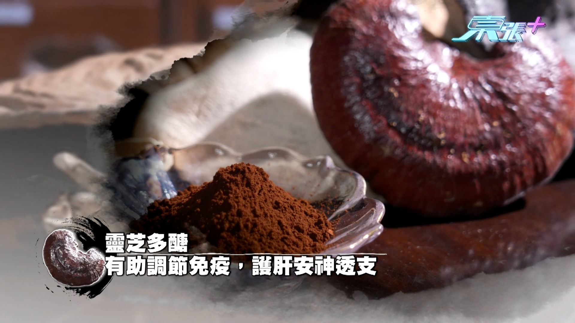 中醫師向東張主持黎寬怡（貓仔）表示，在中醫角度，長期虛耗會令臟腑失調，氣血回不及，形成「越瞓越攰」的惡性循環。