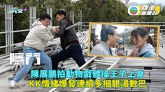 隱門丨陳展鵬拍動物戲體操王子上身 KK情緒爆發連續多摑靚湯數巴 