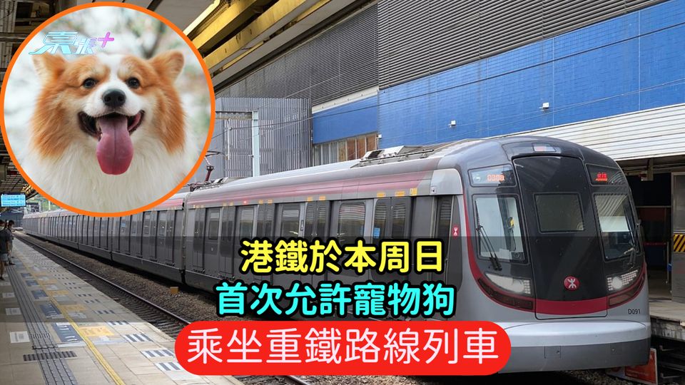 港鐵周日首次允許寵物狗  乘坐重鐵路線列車