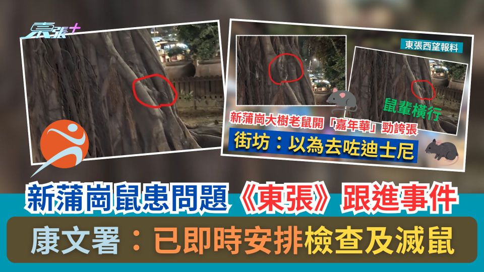 東張西望報料｜新蒲崗鼠患問題《東張》跟進事件　康文署：已即時安排檢查及滅鼠