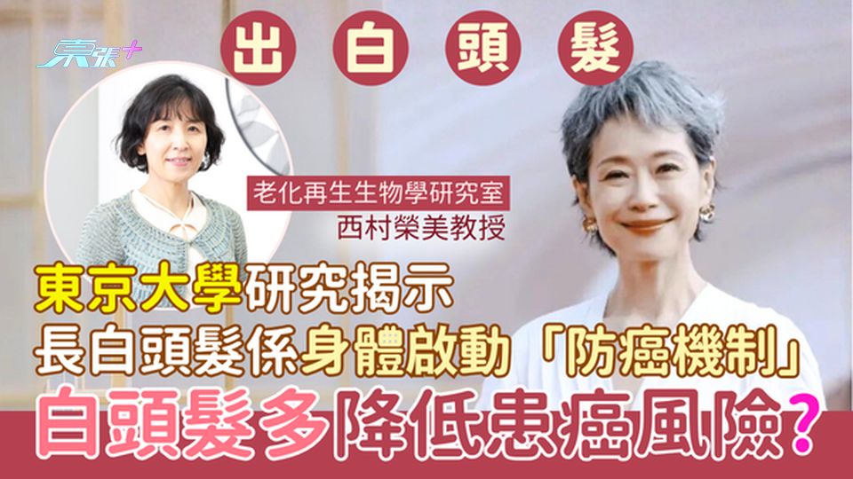 白頭髮｜白頭髮多降低患癌風險？東京大學研究揭示長白頭髮係身體啟動「防癌機制」