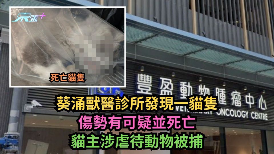 葵涌獸醫診所發現一貓隻傷勢有可疑並死亡　貓主涉虐待動物被捕