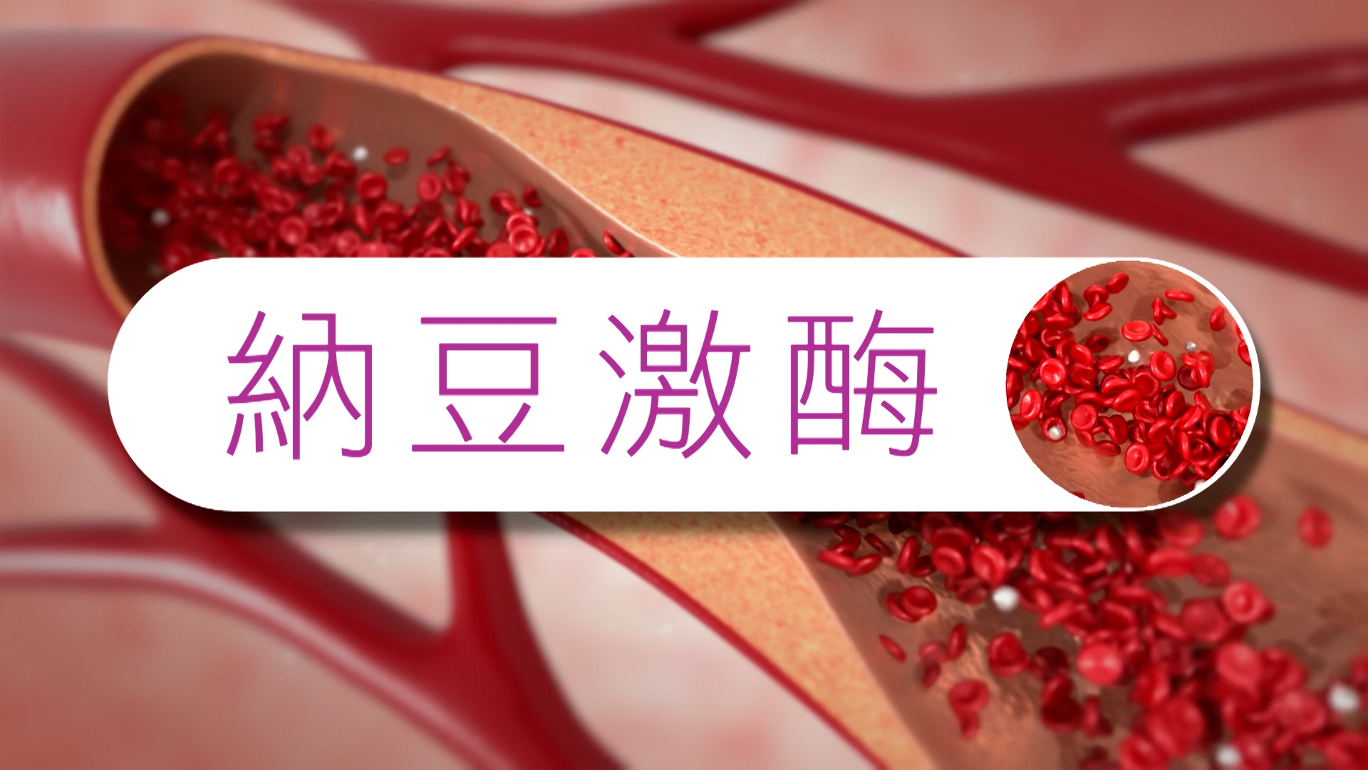 Chris指：「而納豆激酶成分，可以清除溶解黏附在血管的廢物，讓血管暢通。而輔酶Q10能增強血管柔韌度，延緩血管老化機會。」