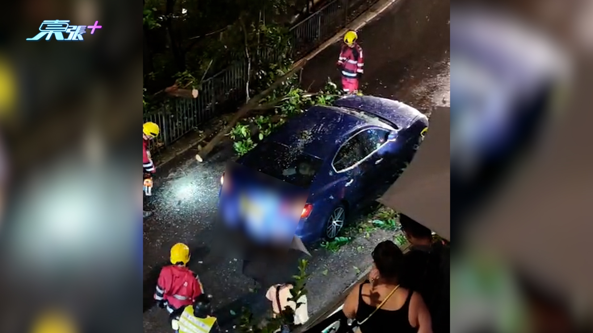 東張西望報料｜紅雨下好驚險！半山大樹疑遭雷擊倒塌壓車　觀眾直擊事發一刻 （陳女士（化名）提供東張）