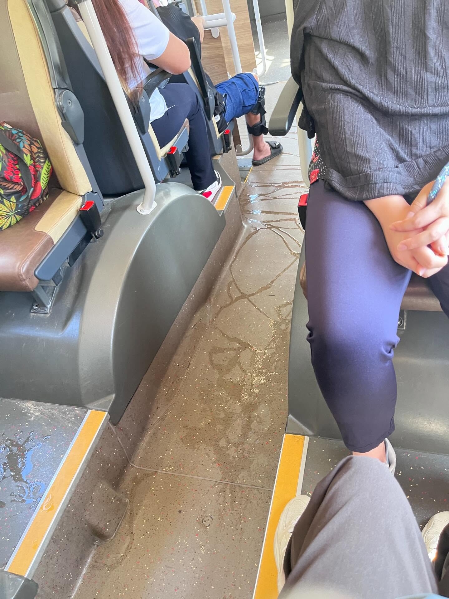 九巴阿伯車廂內當眾小便行為噁心　滿地尿液周圍流動　乘客：成個人呆咗(Threads@au_yeung865)