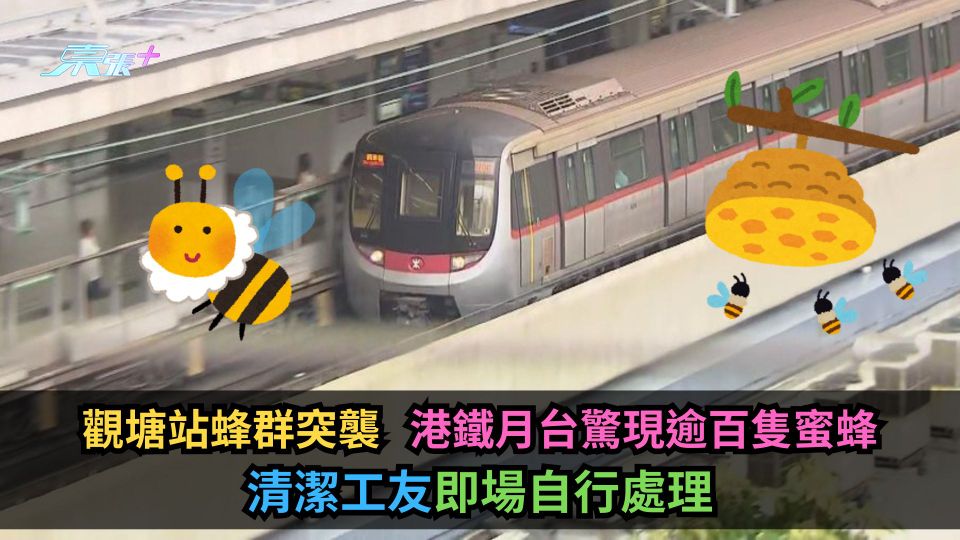 觀塘站蜂群突襲　港鐵月台驚現逾百隻蜜蜂　清潔工友即場自行處理-東張+