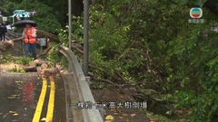 瑪麗醫院早上塌樹 無人傷