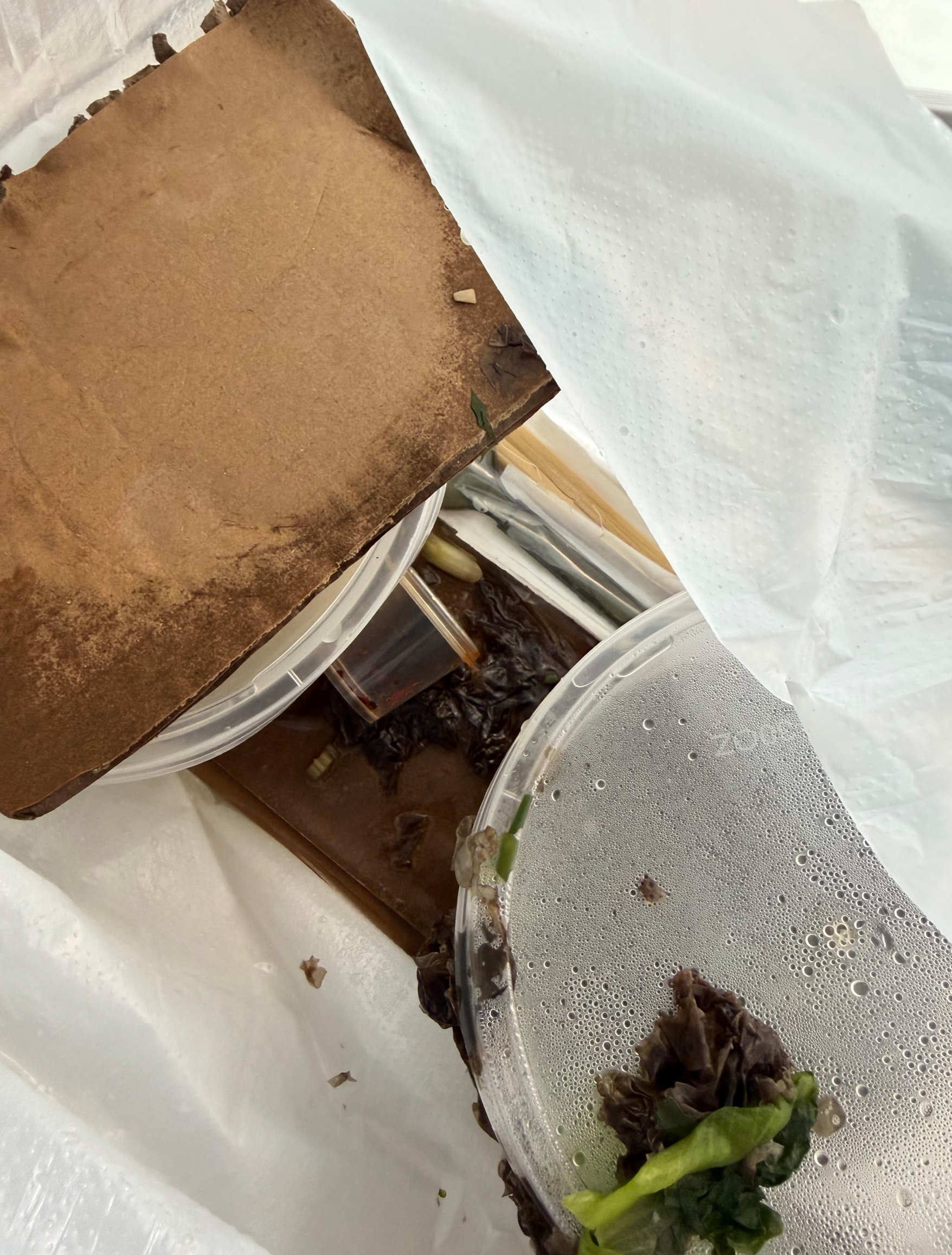 東張西望報料｜外賣送到變「災難現場」食物倒瀉混成一袋　苦主憂跌落地或涉衛生問題 （觀眾林小姐報料）