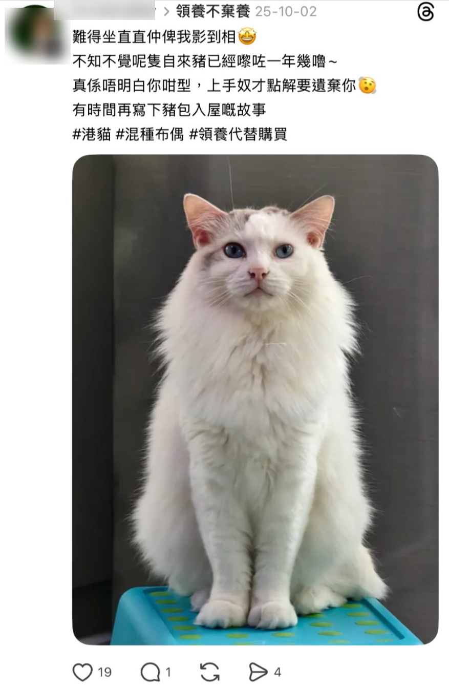 「新主人」亦在網上發文，指當初以為貓貓是被￼￼棄養，但已「養咗兩年有咗感情」及成為家人。