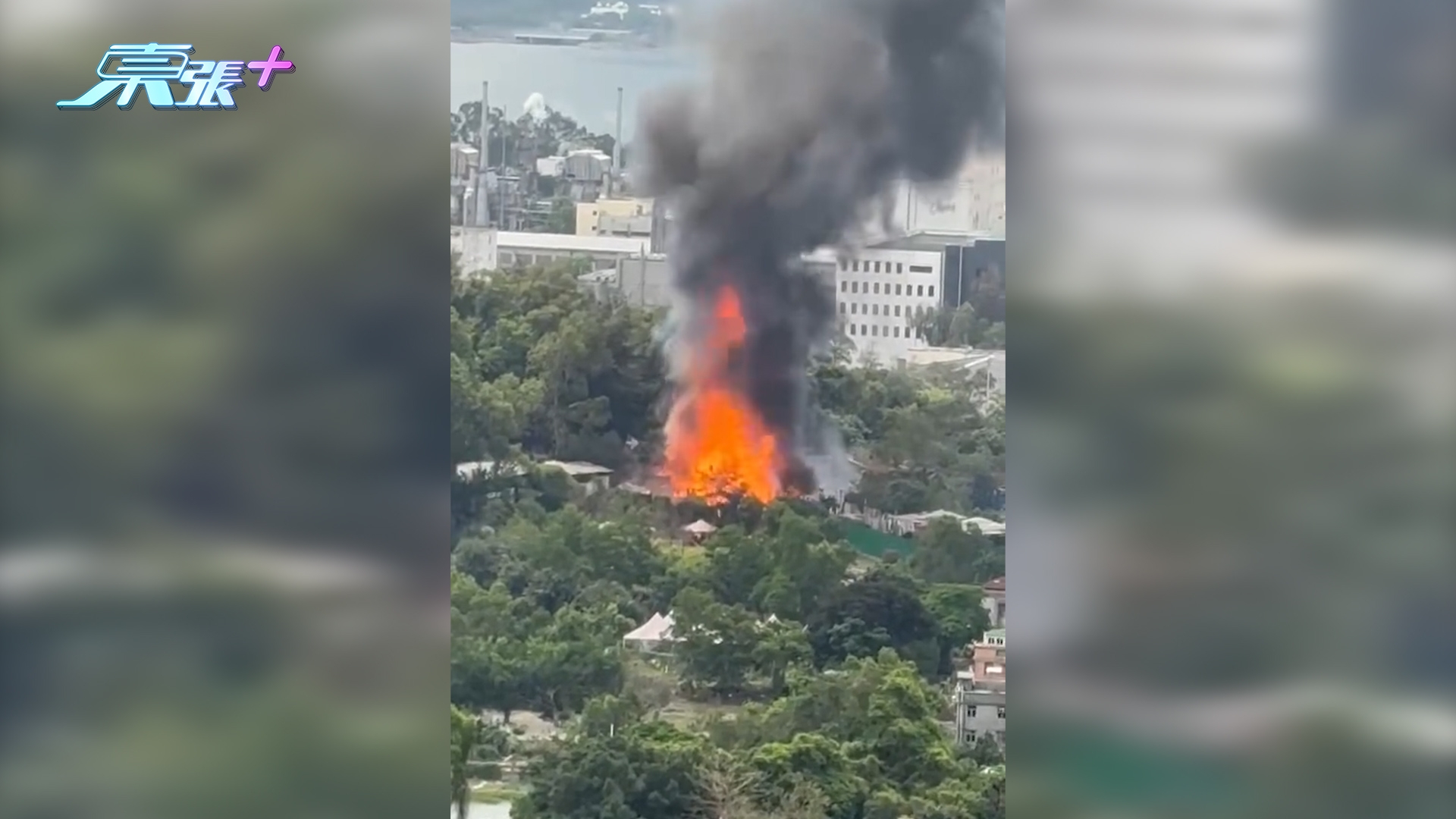 東張西望報料｜大埔回收場起火現場傳爆炸聲　黑煙席捲半空　觀眾報東張：好大煙！