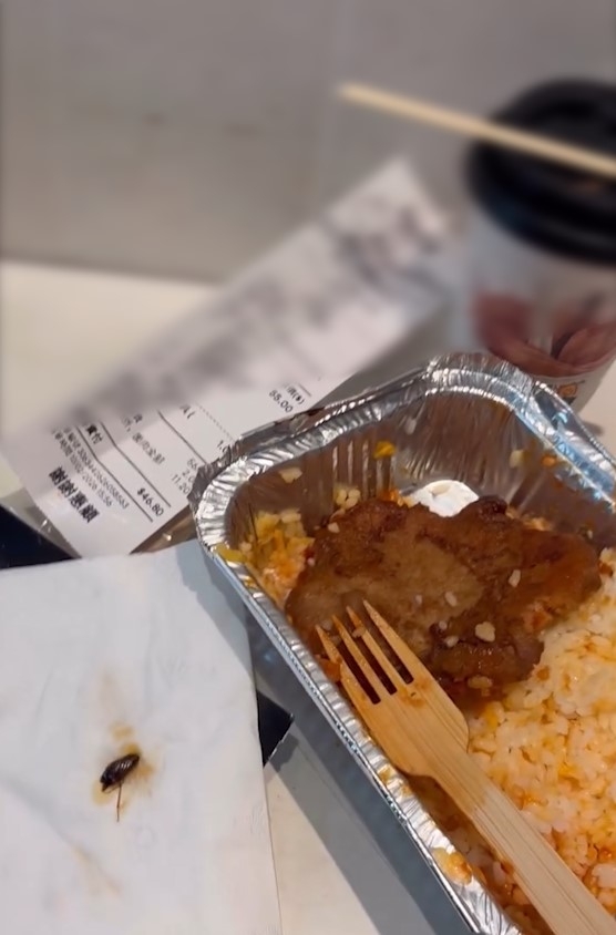 東張西望報料｜旺角MOKO韓國餐廳外賣現全隻曱甴　事主：屙五次嘔三次