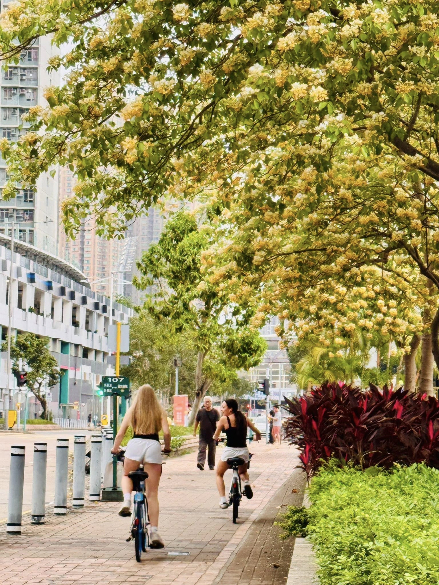 可能是一或多人、自行車和街道的圖像