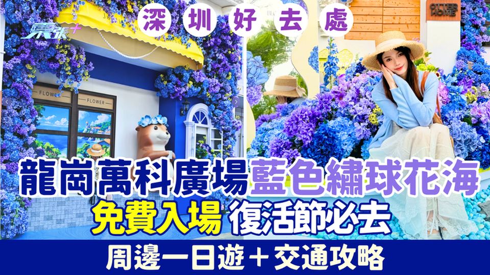 深圳好去處｜龍崗萬科廣場藍色繡球花海 免費入場 復活節必去！周邊一日遊＋交通攻略