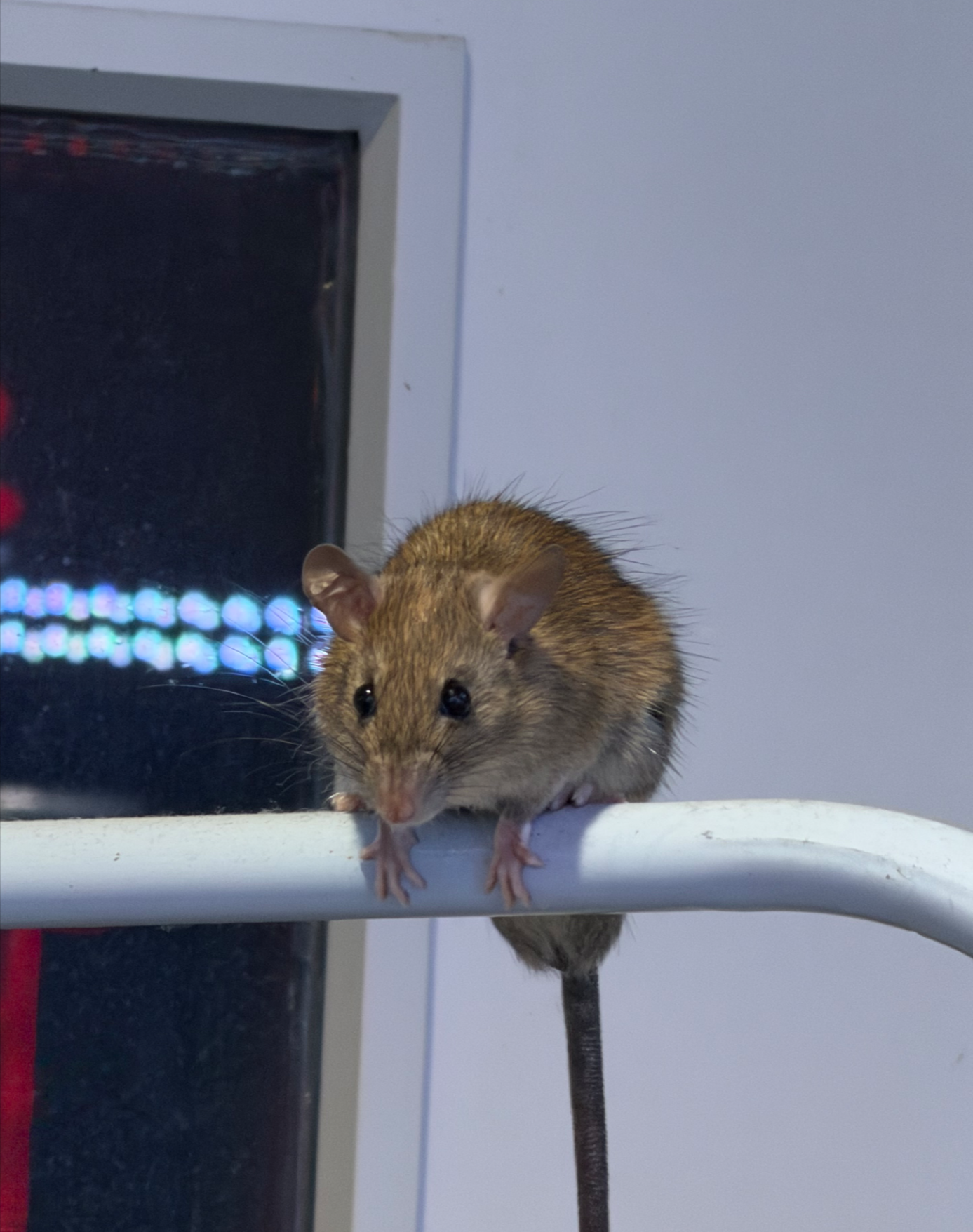 M小姐提供現場照片