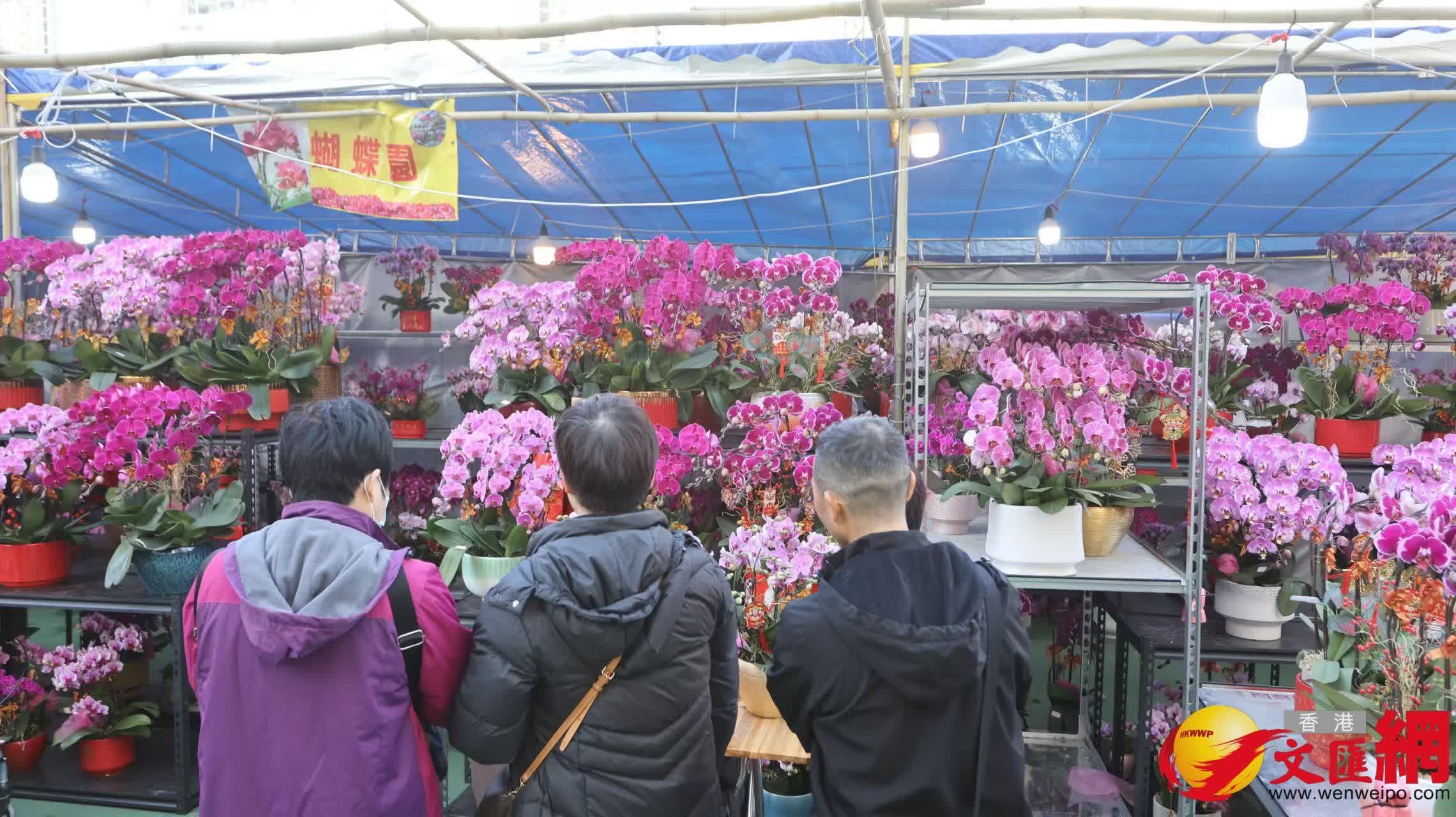圖集）深水埗長沙灣遊樂場年宵市場重開情況- 香港- 香港文匯網