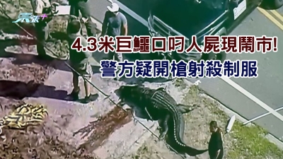 有片︱4.3米巨鱷口叼人屍現鬧市! 警方疑開槍射殺制服