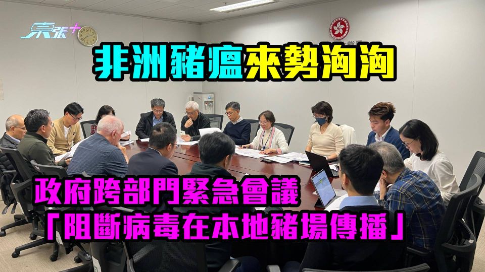 非洲豬瘟來勢洶洶　政府跨部門緊急會議「阻斷病毒在本地豬場傳播」