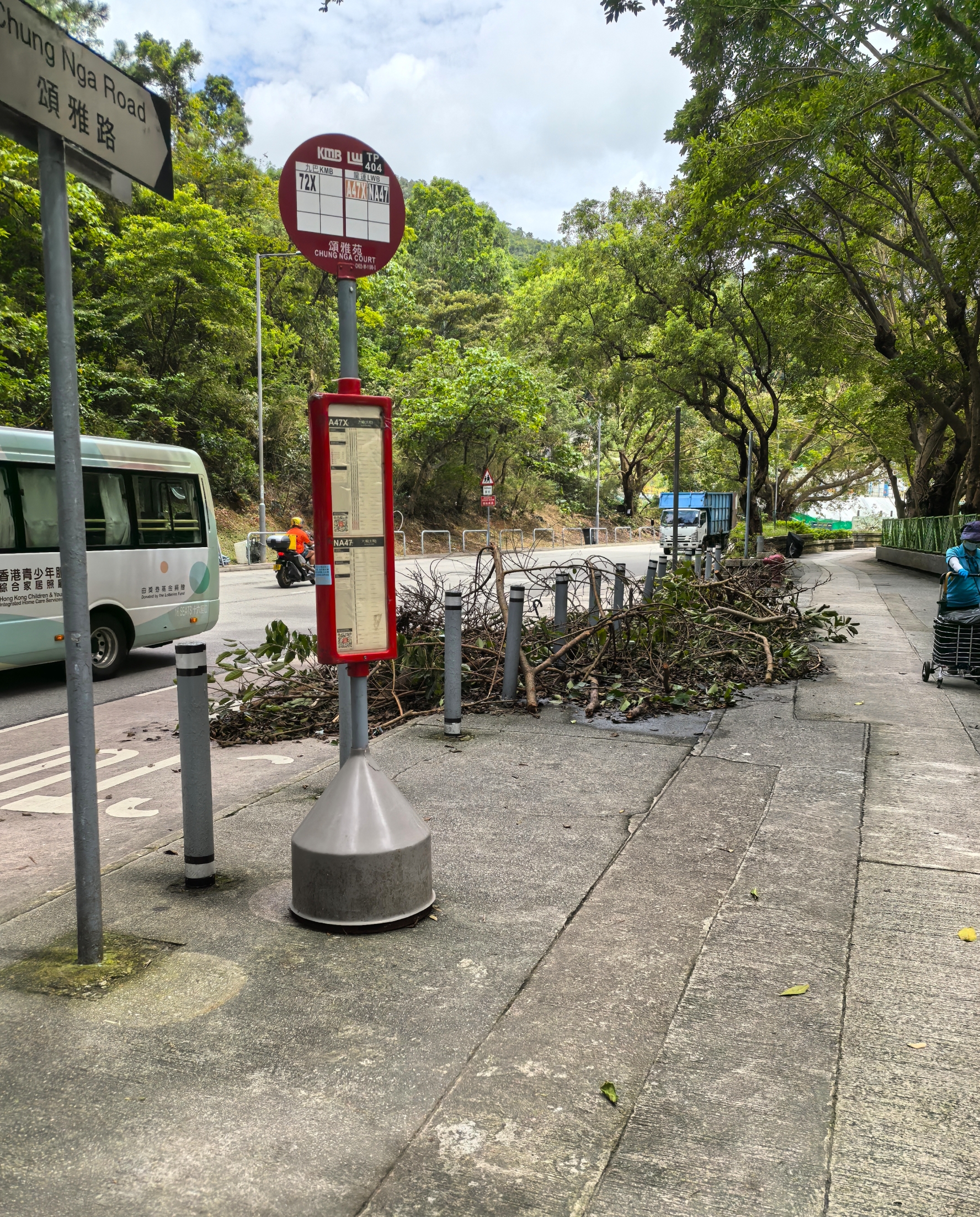 東張西望報料｜大埔巴士站變「樹枝站」　乘客被迫出馬路上車惹安全隱患 （觀眾余先生報料）