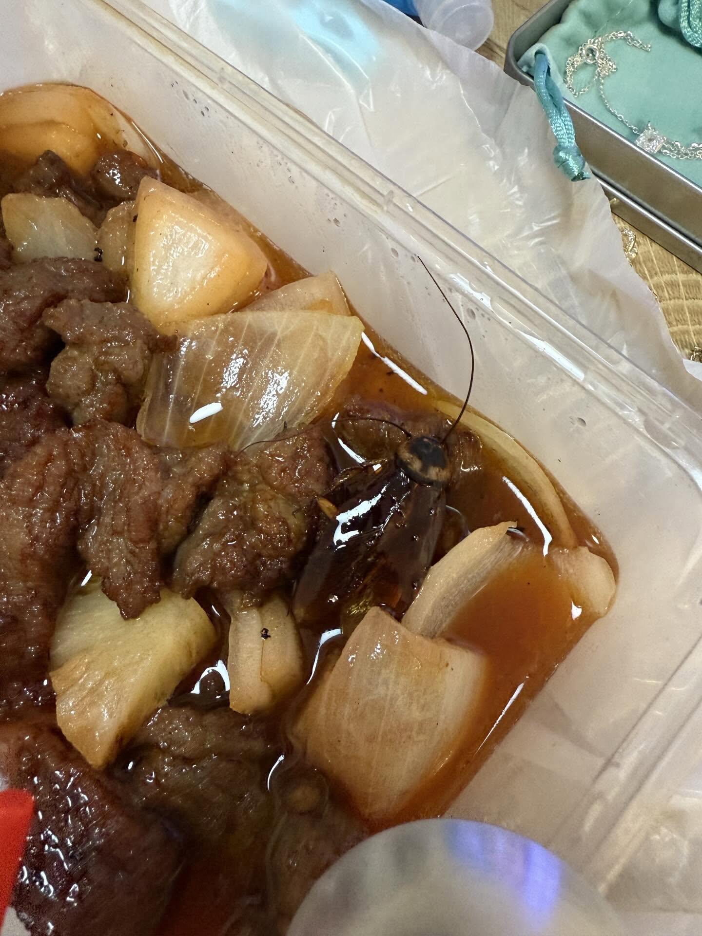 東張西望報料｜荃灣大排檔中式牛柳驚見巨型「小強」　事主：嚇到尖叫 (Threads@yes.you.are.somebody)