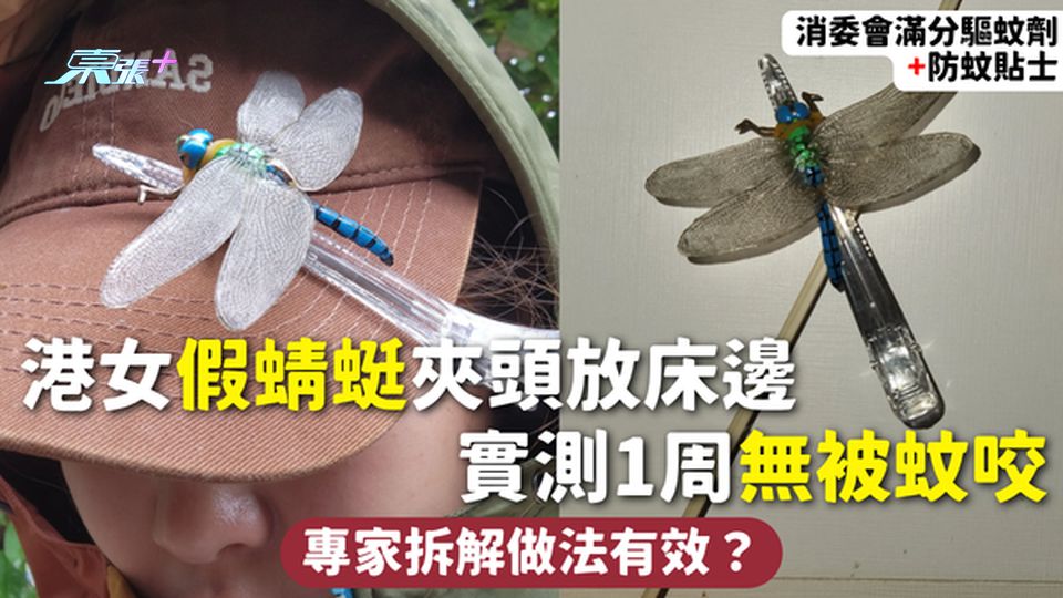 驅蚊 | 港女假蜻蜓夾頭放床邊 實測1周無被蚊咬 專家拆解做法有效？附消委會滿分驅蚊劑+防蚊貼士