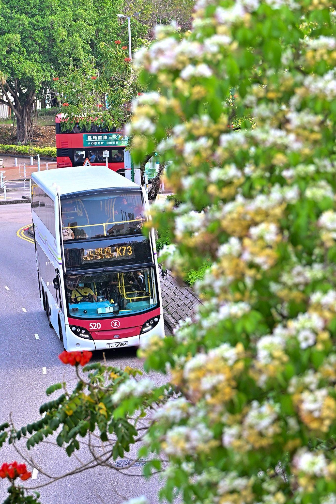 可能是有軌電車和文字的圖像