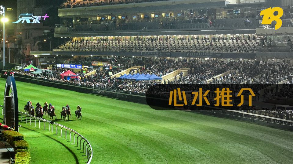 5月24日 夜賽 名家心水