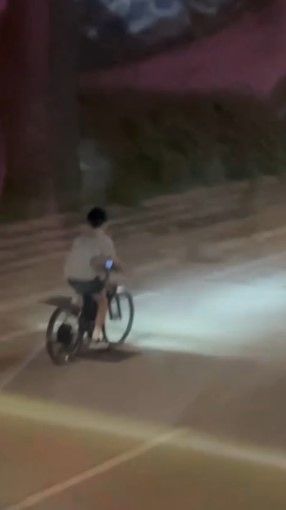 男子公然公路上駕駛電動單車