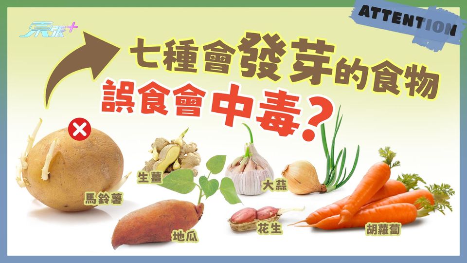 七種會發芽的食物 誤食會中毒？