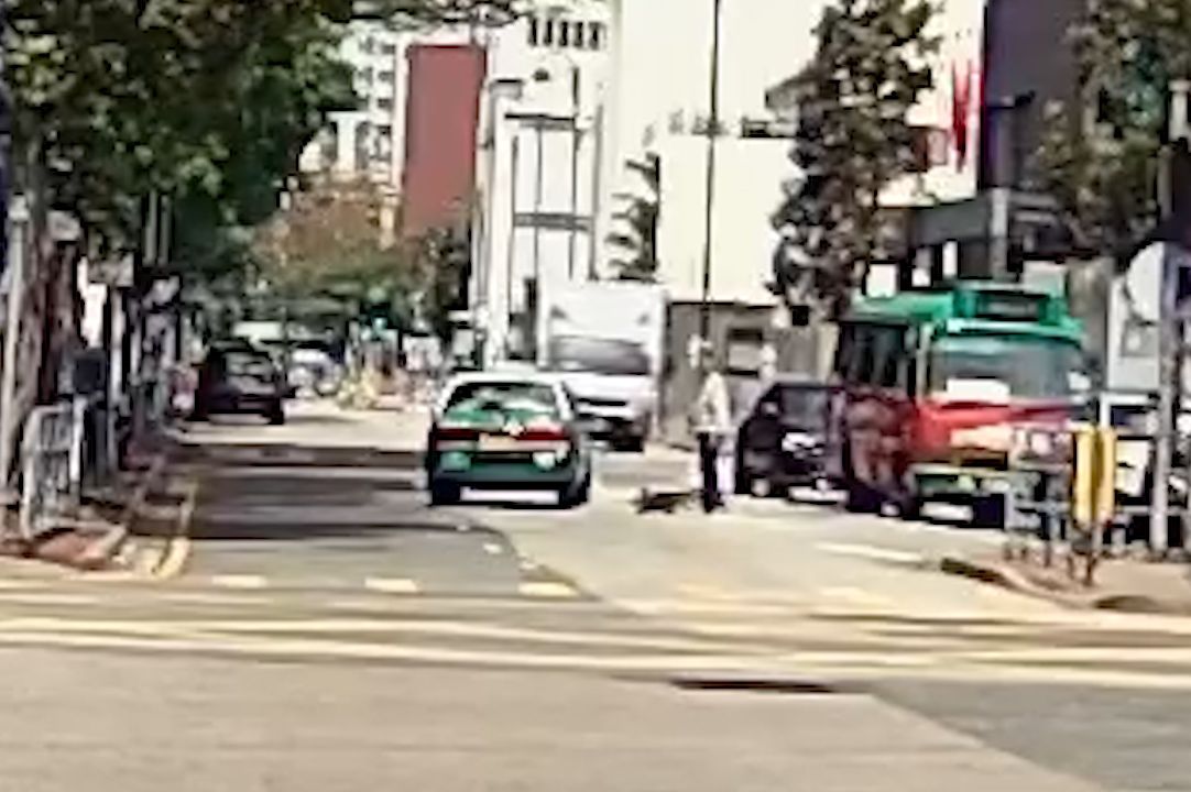 馬路MMA｜元朗單車友大戰綠的司機，互毆打到撞落小巴勁精彩。