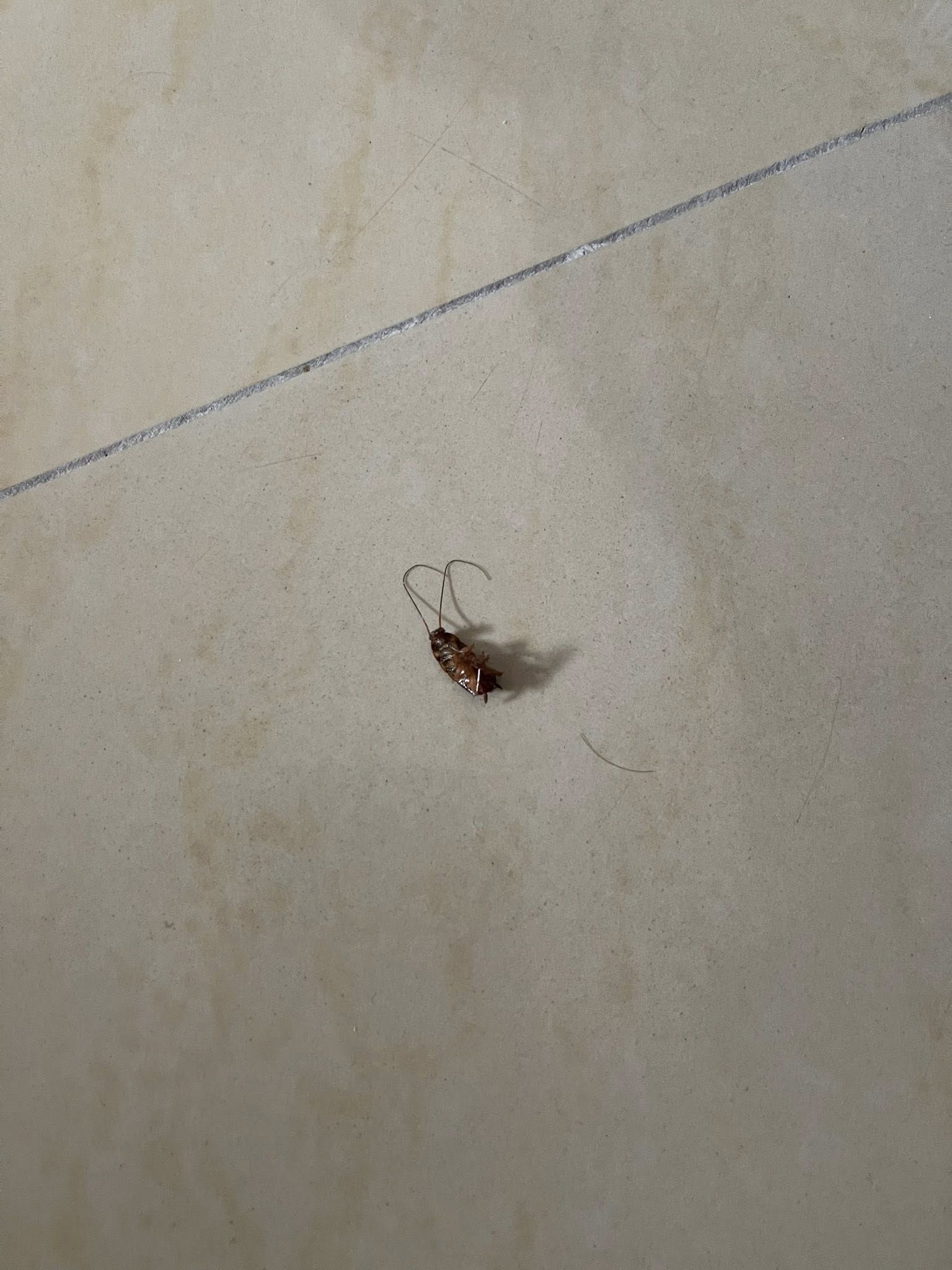 No photo description available.