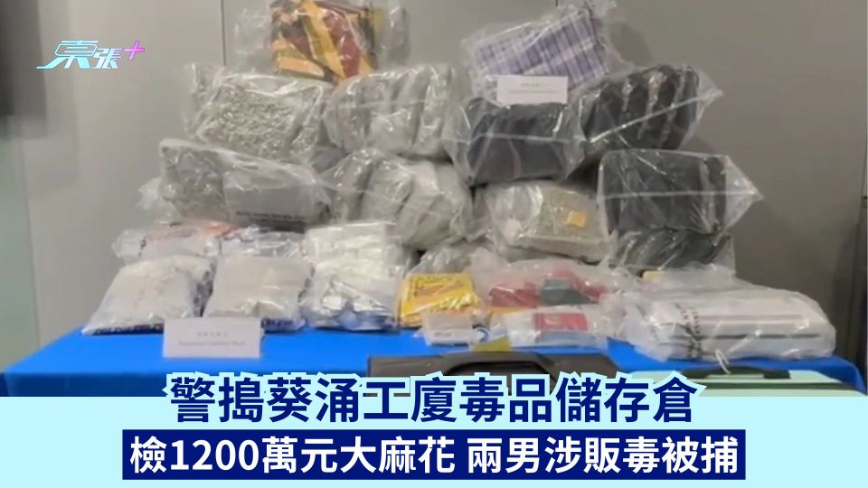 警搗葵涌工廈毒品儲存倉 檢1200萬元大麻花 兩男涉販毒被捕