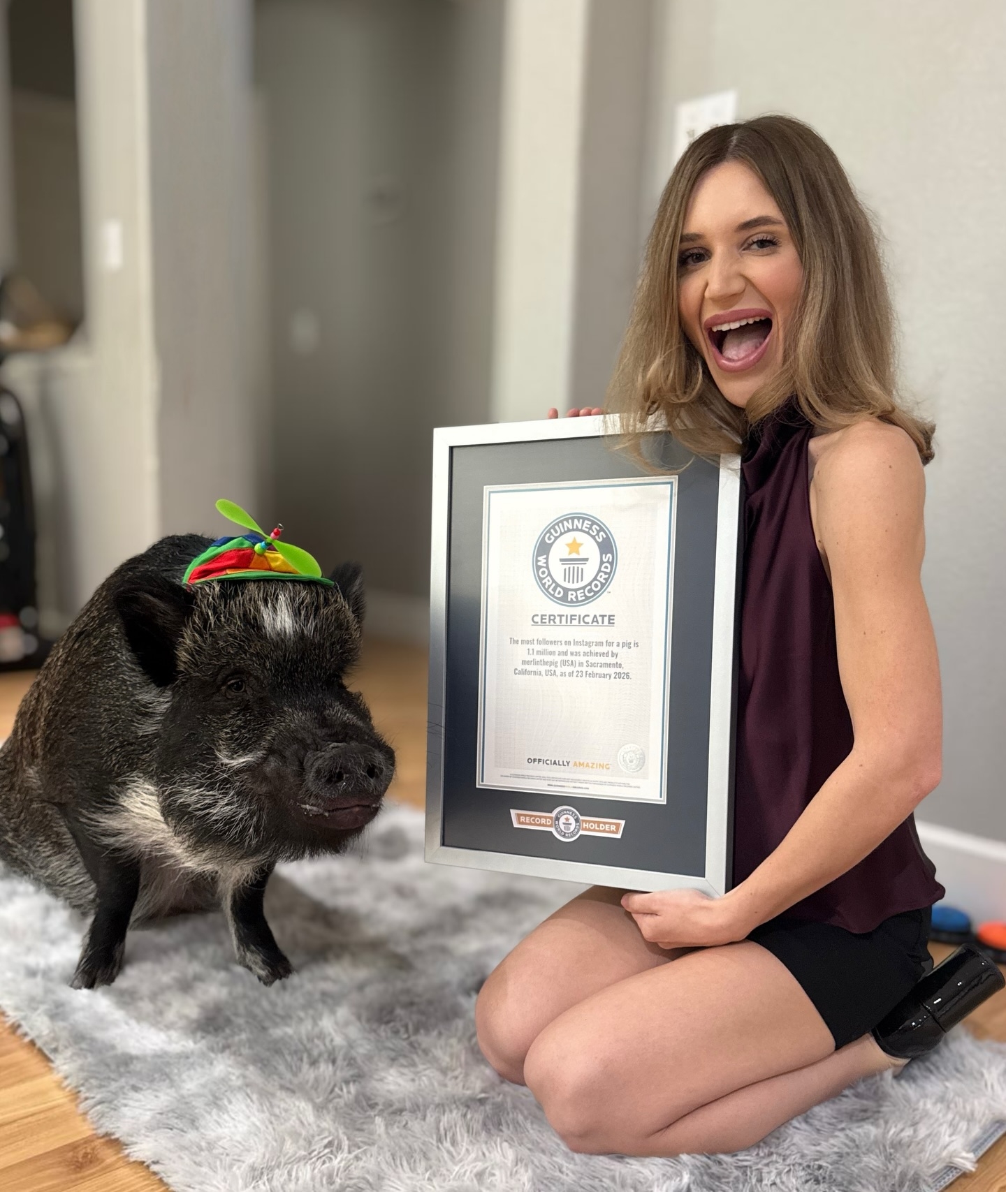 相片中，梅林站在官方證書旁，「淡定」地接受表揚，跟興高采烈的阿拉莉形成有趣對比。（Facebook圖片／Merlin The Pig）